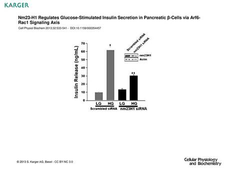 Nm23-H1 Regulates Glucose-Stimulated Insulin Secretion in Pancreatic β-Cells via Arf6-Rac1 Signaling Axis Cell Physiol Biochem 2013;32:533-541 - DOI:10.1159/000354457.