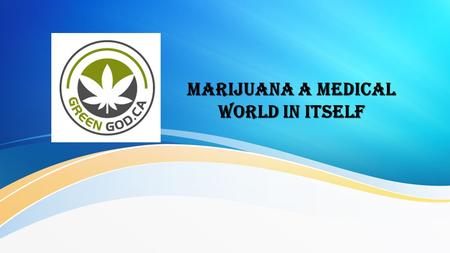 Marijuana A Medical World In Itself
