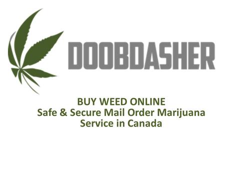 Buy Weed Online Safe & Secure Mail Order Marijuana Service in Canada.