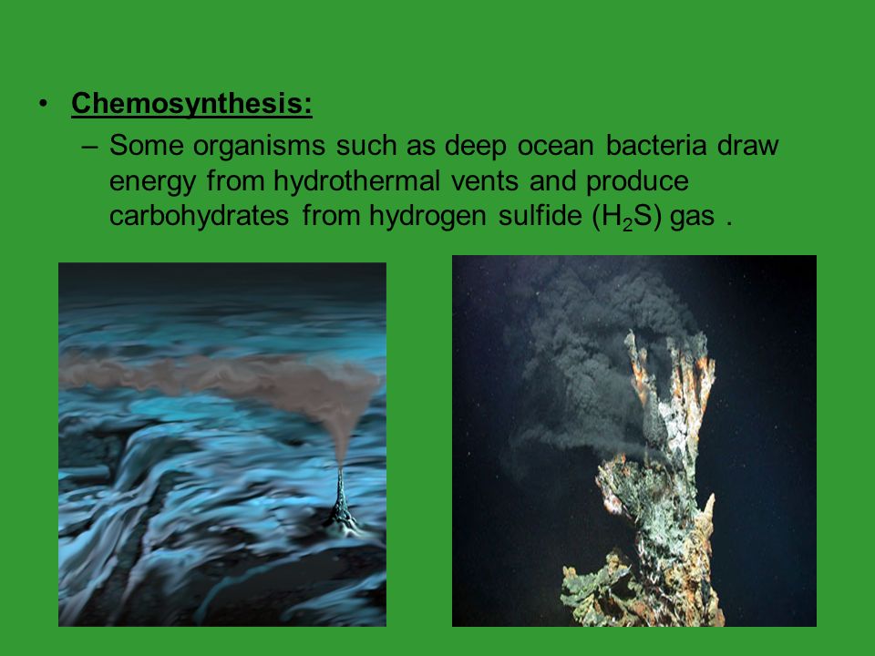 Chemosynthesis and bacteria