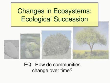 Changes in Ecosystems: Ecological Succession