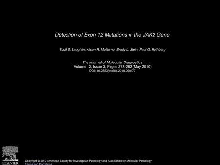 Detection of Exon 12 Mutations in the JAK2 Gene