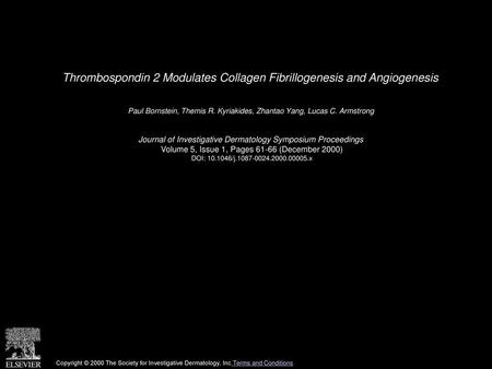 Thrombospondin 2 Modulates Collagen Fibrillogenesis and Angiogenesis