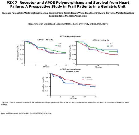 P2X 7 Receptor and APOE Polymorphisms and Survival from Heart Failure: A Prospective Study in Frail Patients in a Geriatric Unit Giuseppe Pasqualetti;Marta.