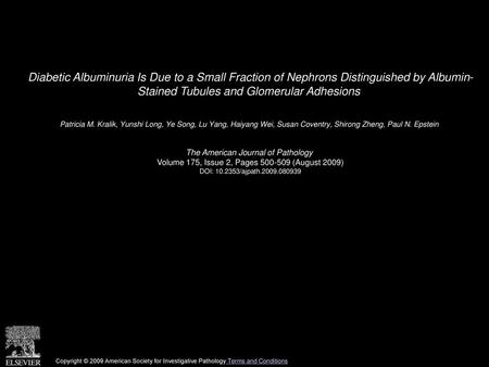Diabetic Albuminuria Is Due to a Small Fraction of Nephrons Distinguished by Albumin- Stained Tubules and Glomerular Adhesions  Patricia M. Kralik, Yunshi.