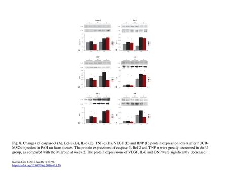 Fig. 8. Changes of caspase-3 (A), Bcl-2 (B), IL-6 (C), TNF-α (D), VEGF (E) and BNP (F) protein expression levels after hUCB-MSCs injection in PAH rat heart.