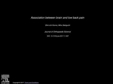Association between brain and low back pain