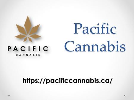 Pacific Cannabis https://pacificcannabis.ca/. Pacific Cannabis - pacificcannabis.ca What excellent quality products, but at minimum prices? You are on.