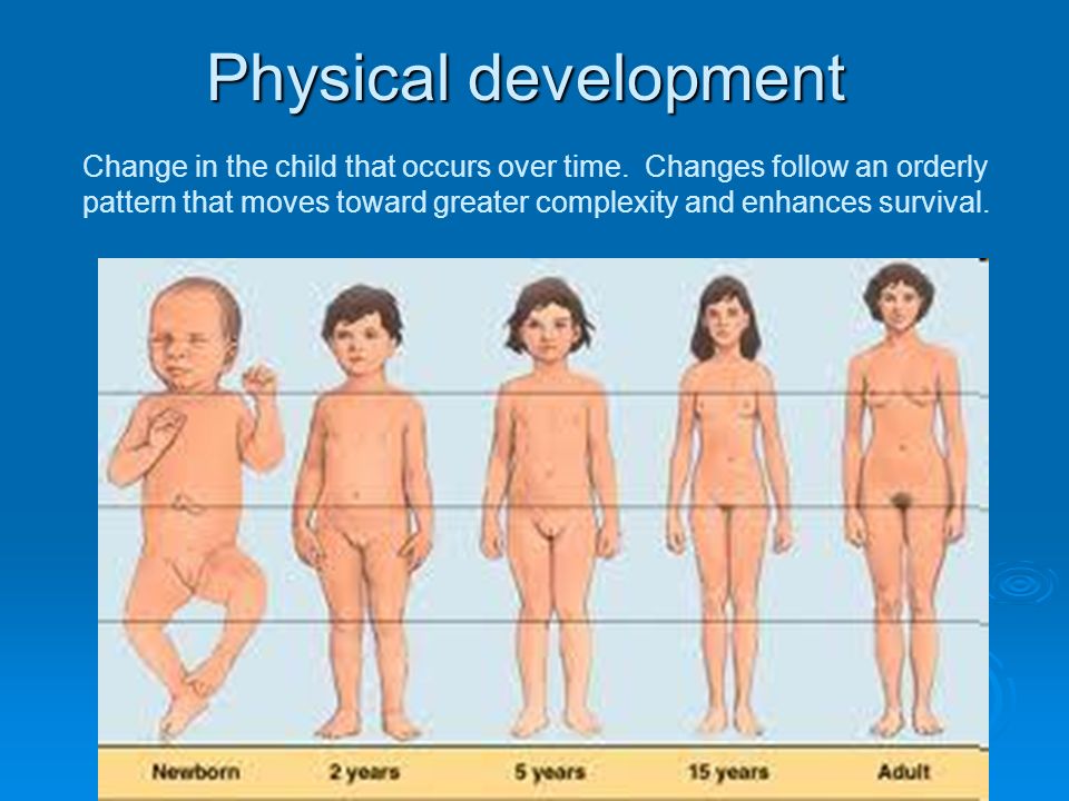 Physical Development Of Adults 102