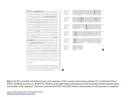 Fig. 1. (A) The nucleotide and deduced amino acid sequences of the vacuolar serine protease protein of F. proliferatum (Fus p 9.0101, GenBank accession.