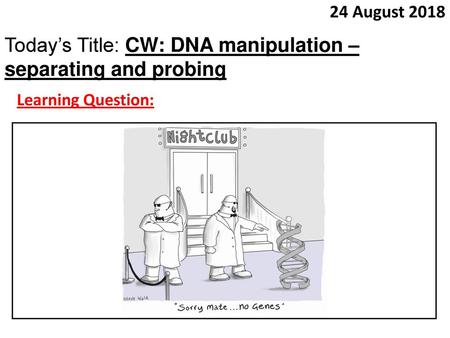 Today’s Title: CW: DNA manipulation – separating and probing