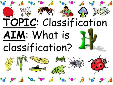 TOPIC: Classification AIM: What is classification?
