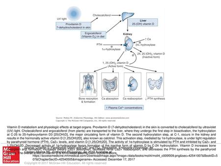 Vitamin D metabolism and physiologic effects at target organs