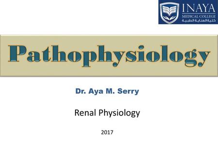 Dr. Aya M. Serry Renal Physiology 2017