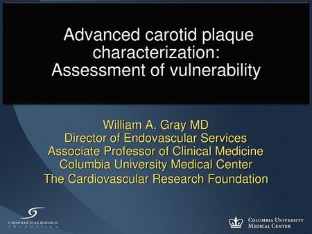 Advanced carotid plaque characterization: Assessment of vulnerability