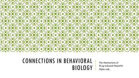 Connections in Behavioral Biology