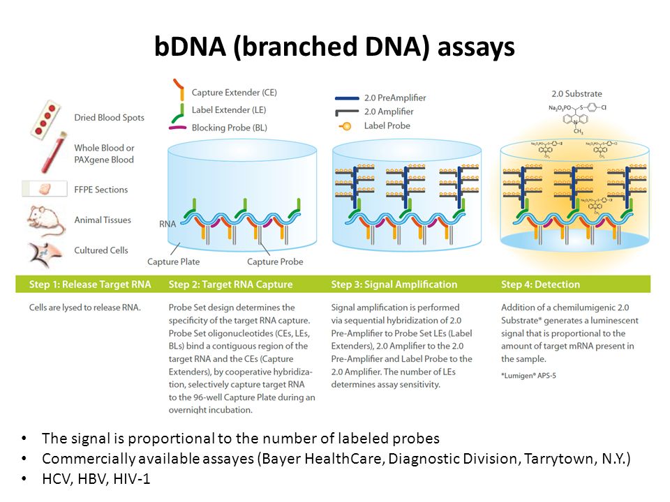 download genetic manipulation