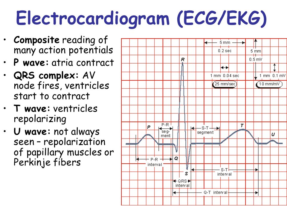 download designing embedded systems with pic