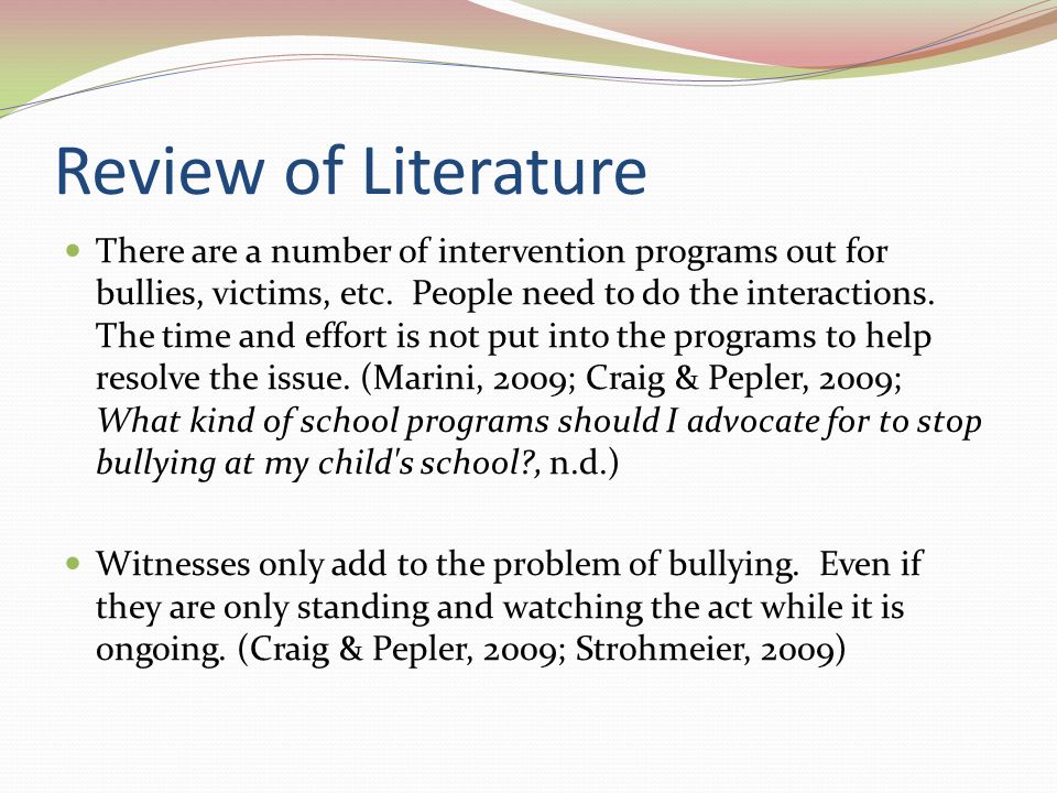 literature review school bullying