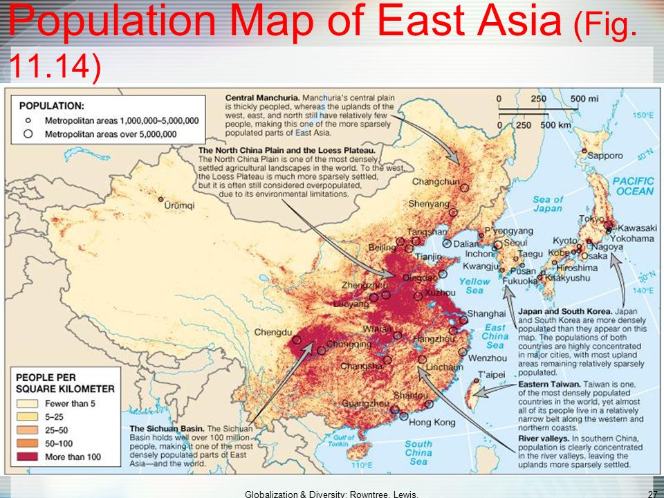 East Asian Population 27