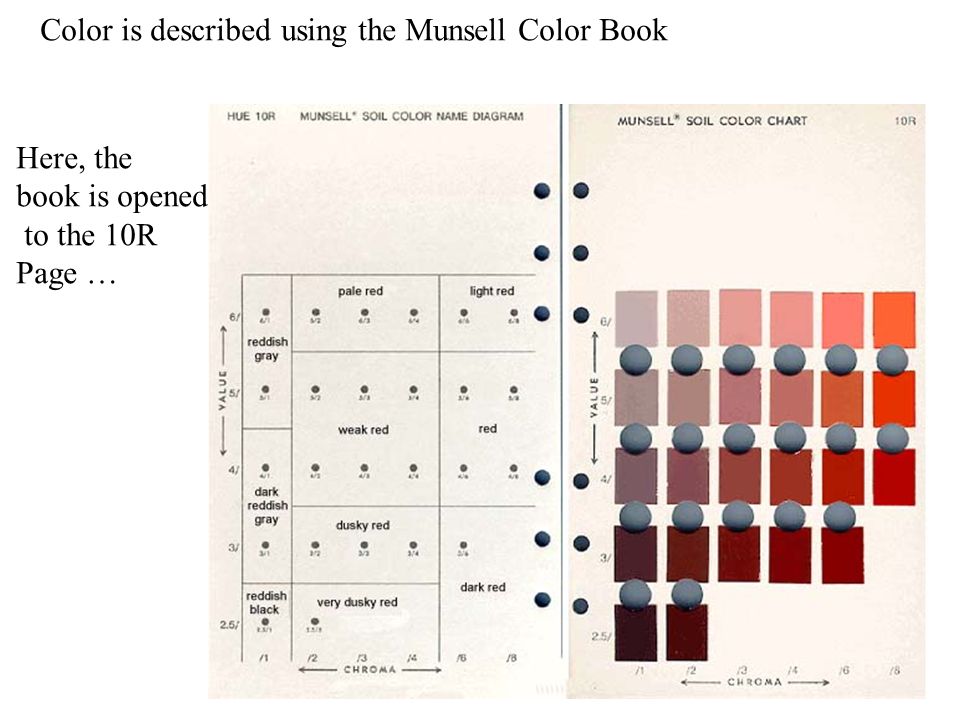Munsell Soil Color Chart Download Pdf