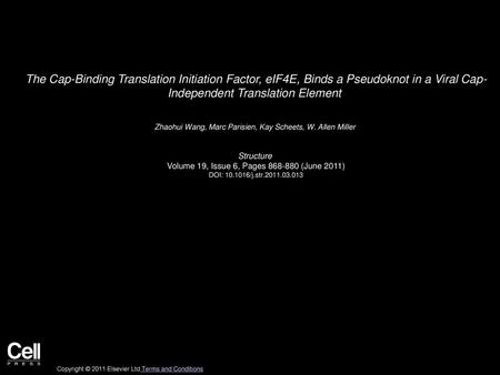 The Cap-Binding Translation Initiation Factor, eIF4E, Binds a Pseudoknot in a Viral Cap- Independent Translation Element  Zhaohui Wang, Marc Parisien,