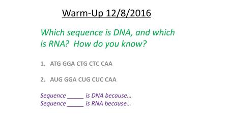 Warm-Up 12/8/2016 Which sequence is DNA, and which is RNA? How do you know? ATG GGA CTG CTC CAA AUG GGA CUG CUC CAA Sequence _____ is DNA because… Sequence.