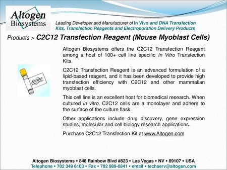 Products > C2C12 Transfection Reagent (Mouse Myoblast Cells)