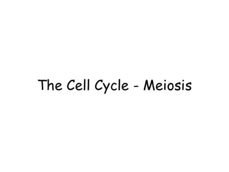 The Cell Cycle - Meiosis