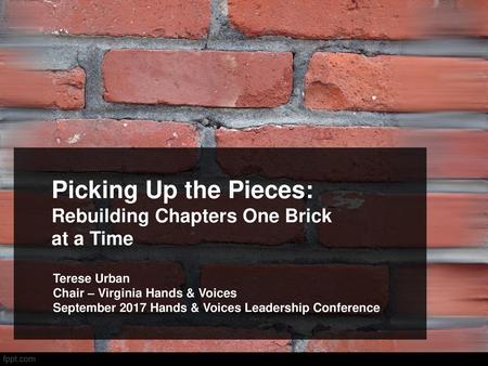 Picking Up the Pieces: Rebuilding Chapters One Brick at a Time