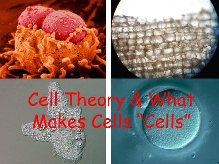 Cell Theory & What Makes Cells “Cells”