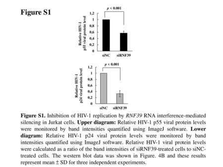 p < 0.001 Figure S1 p55 viral protein level Relative HIV-1