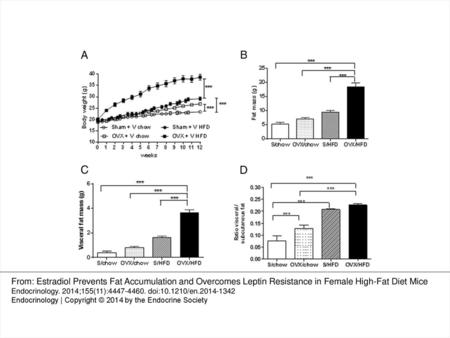 Figure 1 Lack of endogenous estrogens increases BW and VF in mice fed normal chow or HFD. A, OVX mice (open squares) gain more weight than ovarian-intact.