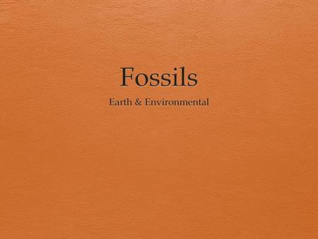 Fossils Earth & Environmental.