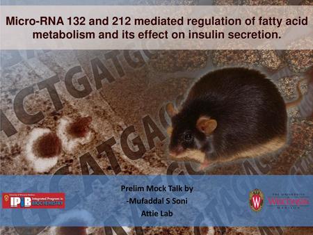 Micro-RNA 132 and 212 mediated regulation of fatty acid metabolism and its effect on insulin secretion. Prelim Mock Talk by -Mufaddal S Soni Attie Lab.