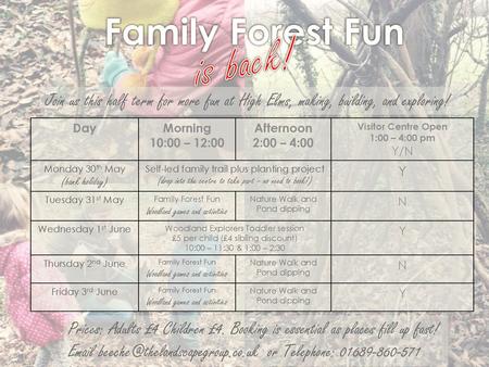 is back! Family Forest Fun