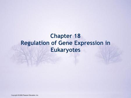 Regulation of Gene Expression in Eukaryotes
