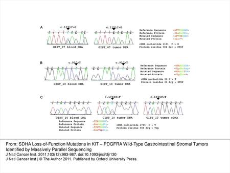 Figure 1 Sequence chromatograms of DNA isolated from two patients with sporadic KIT/PDGFRA wild-type gastrointestinal stromal tumors. A ) Region harboring.