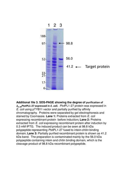 1 2 3 98.8 56.0 41.2 Target protein Additional file 3. SDS-PAGE showing the degree of purification of D1-26PtxtPL1-27 expressed in E. coli. PtxtPL1-27.