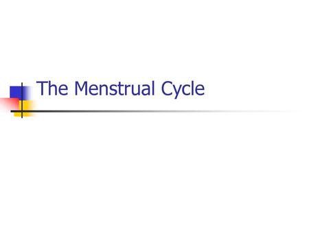 The Menstrual Cycle.