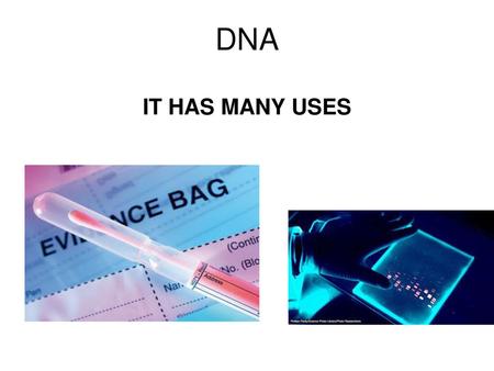 DNA IT HAS MANY USES.