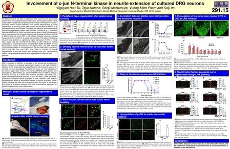 Involvement of c-jun N-terminal kinase in neurite extension of cultured DRG neurons *Nguyen Huu Tu, Tayo Katano, Shinji Matsumura, Vuong Minh Pham and.
