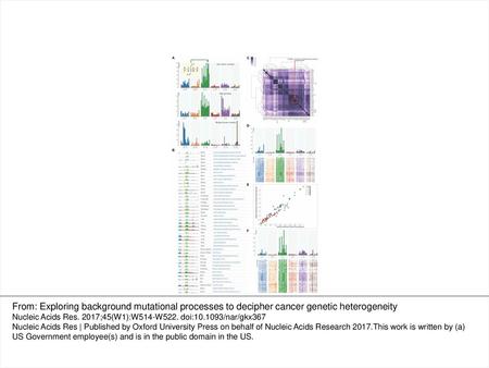 Figure 1. Exploring and comparing context-dependent mutational profiles in various cancer types. (A) Mutational profiles of pan-cancer somatic mutations,