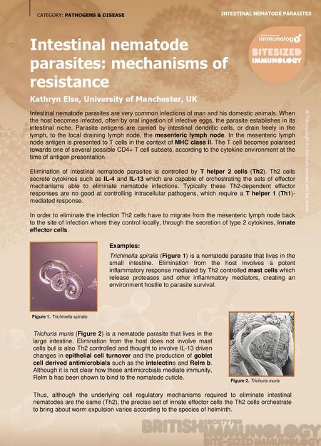 Intestinal nematode parasites: mechanisms of resistance