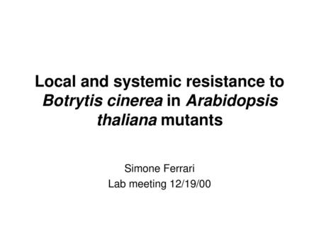 Simone Ferrari Lab meeting 12/19/00
