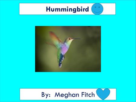Hummingbird By: Meghan Fitch