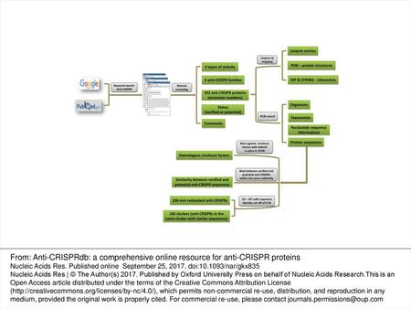 Figure 1. The flow chart illustrates the construction process of anti-CRISPRdb, and the information that users can obtain from anti-CRISPRdb. From: Anti-CRISPRdb: