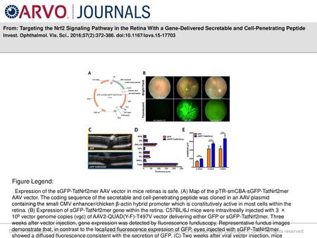 From: Targeting the Nrf2 Signaling Pathway in the Retina With a Gene-Delivered Secretable and Cell-Penetrating Peptide Invest. Ophthalmol. Vis. Sci.. 2016;57(2):372-386.