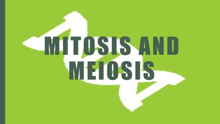 Mitosis and Meiosis.