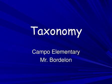 Campo Elementary Mr. Bordelon